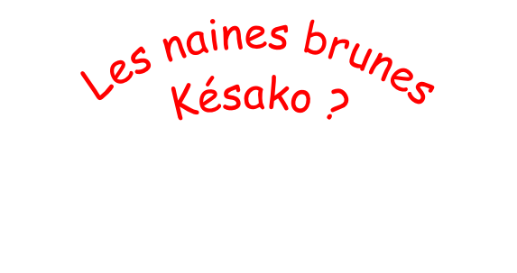 Les naines brunes Késako ?